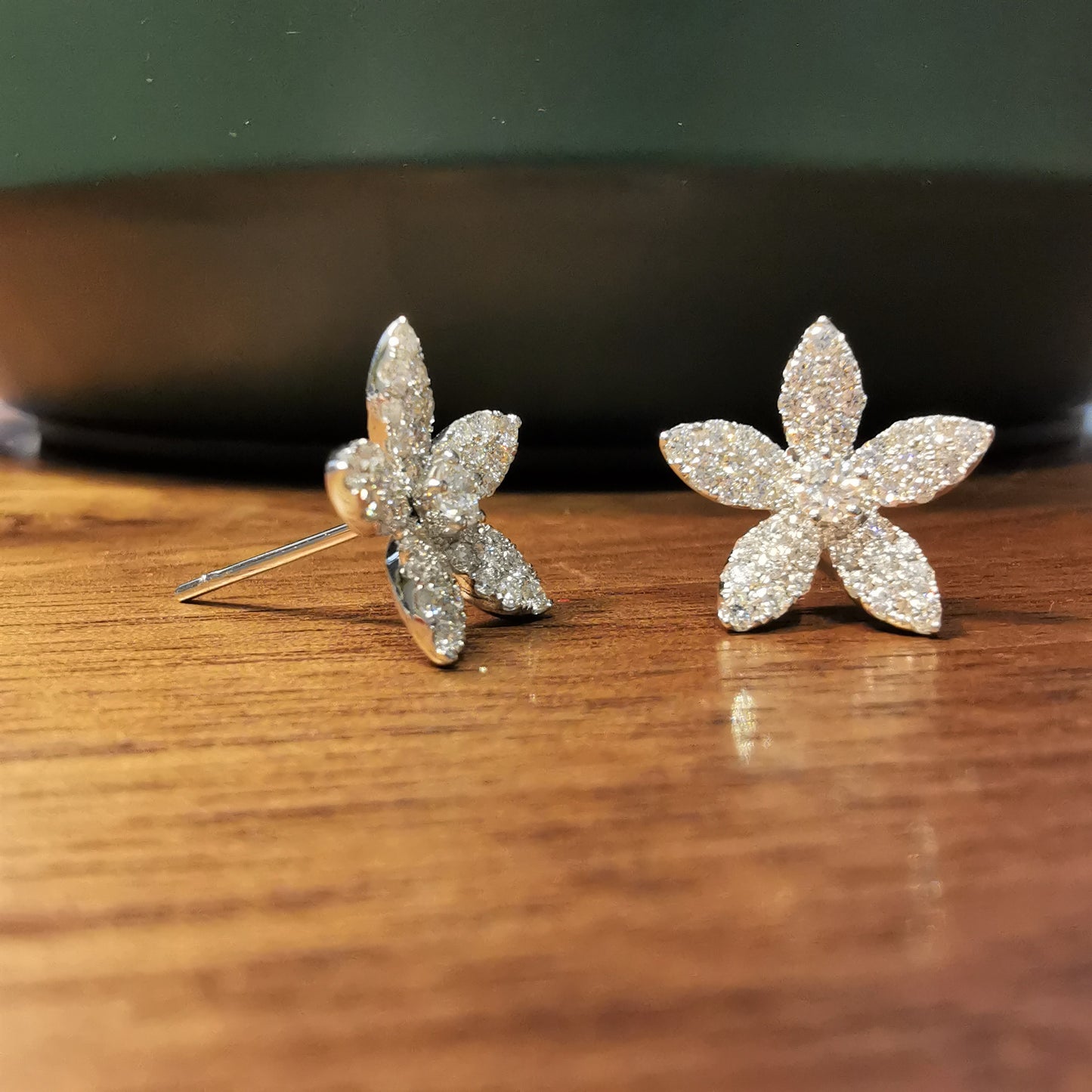 Forget-me-not