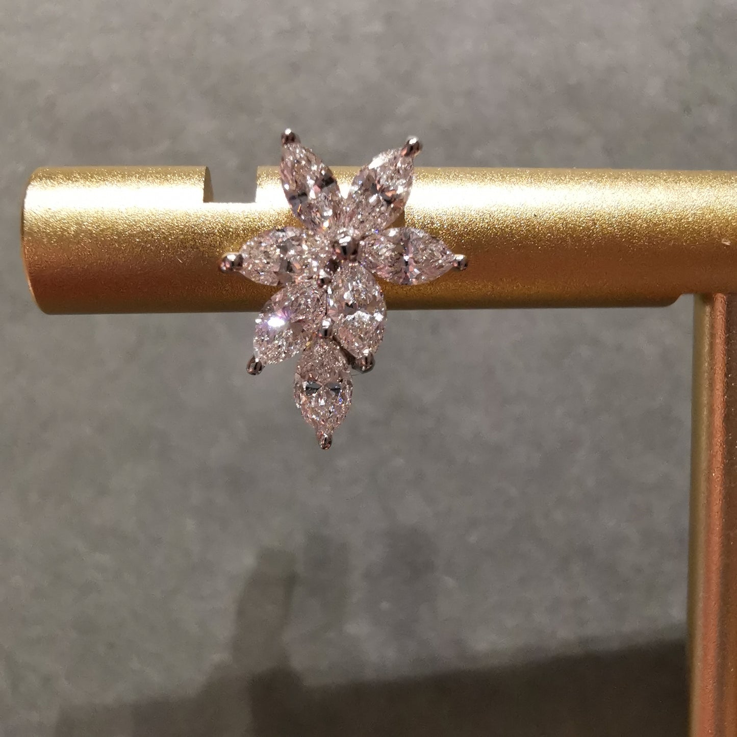 The Marquise