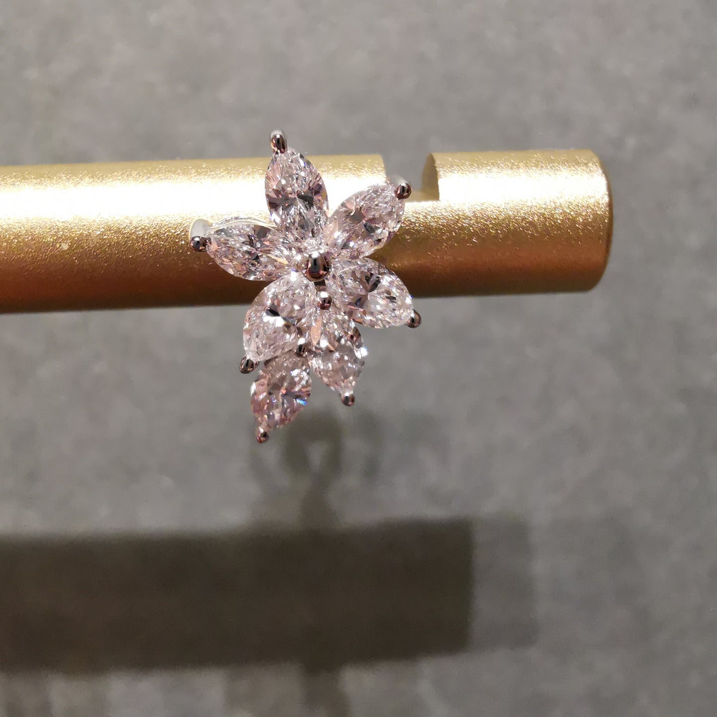 The Marquise